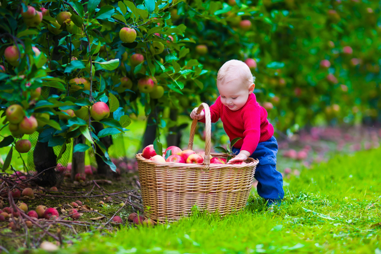 Baby mit Apfelkorb