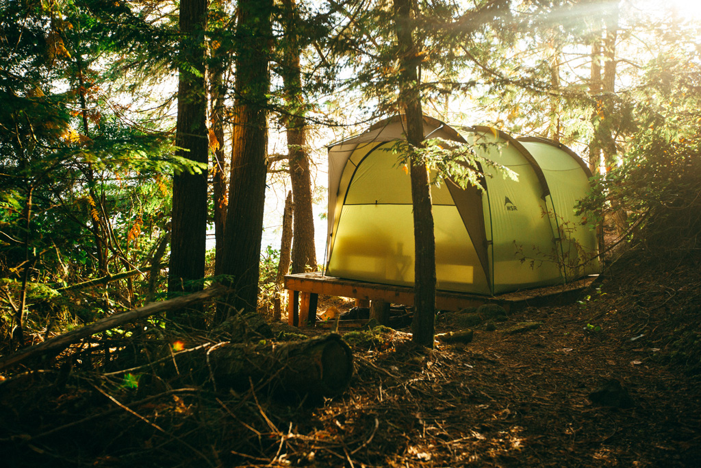 Vancouver Island: A large green tent stands in the forest under trees.