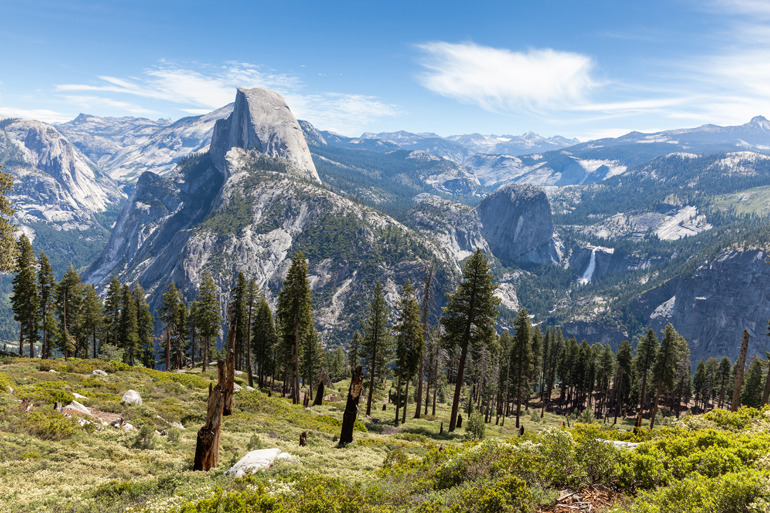 A landscape of trees with mountains in the background.