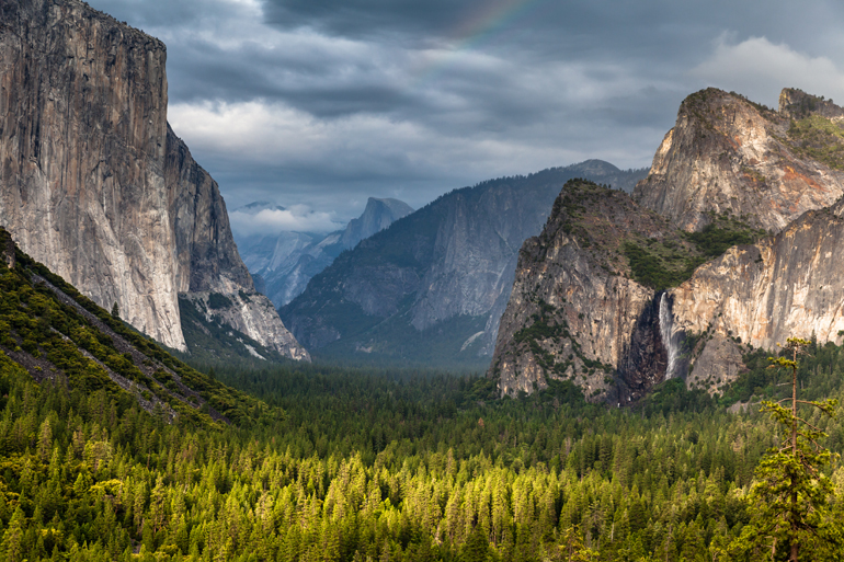 A forest in a valley.