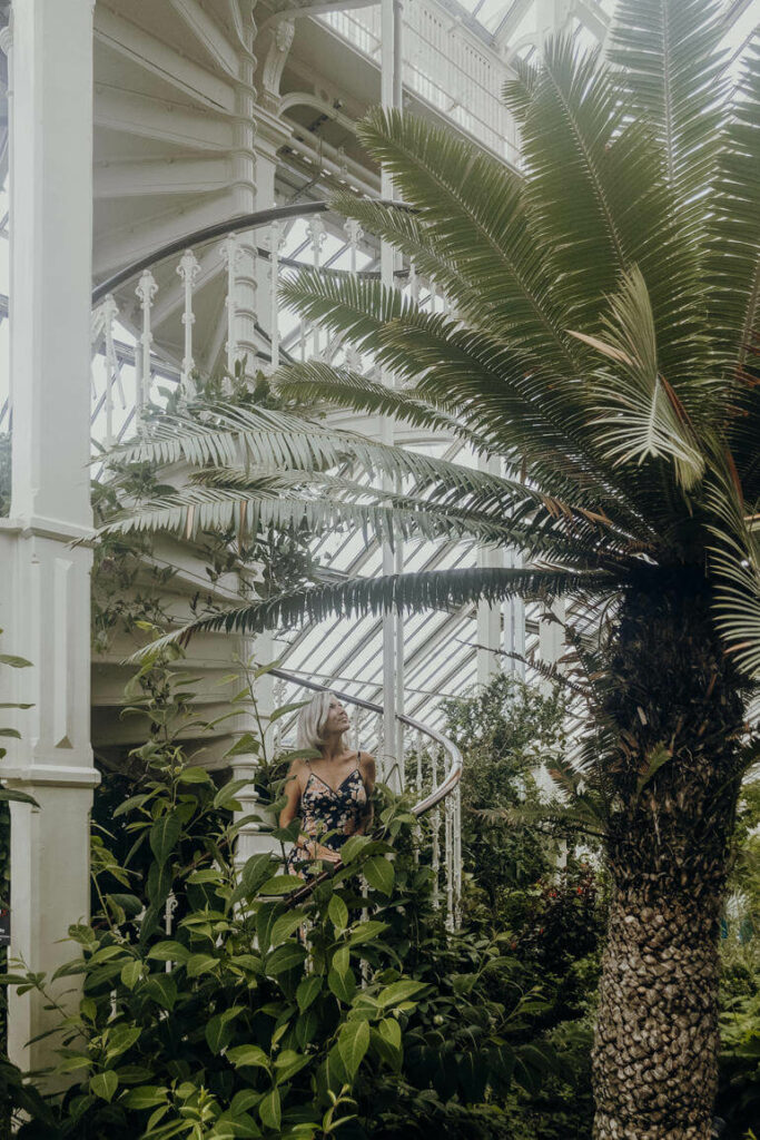 In den Kew Gardens in London genießt Bloggerin Nina allein als Frau die Ruhe zwischen den Palmen.