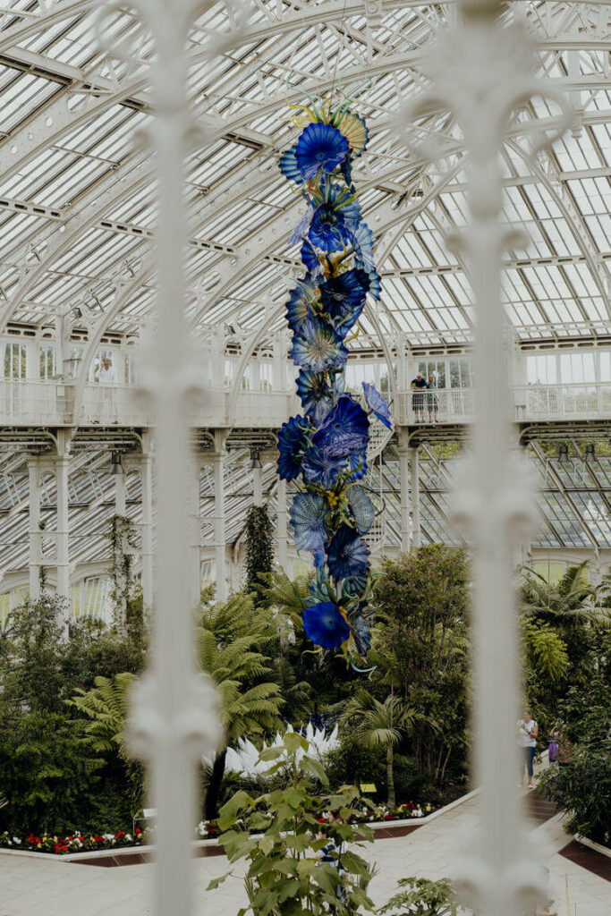 Vom Dach eines Gewächshauses in den Kew Gardens in London hängt eine wunderschöne blaue Blume hinunter.