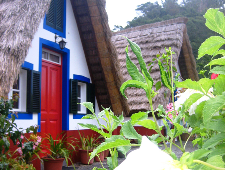 Madeira Tauchen, Surfen: Ein Haus mit einer roten Türe und Pflanzen davor.