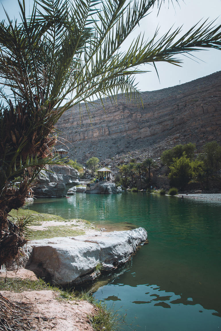 Roadtrip durch den Oman: Ein Gewässer mit einer Palme im Vordergrund und den Bergen im Hintergrund