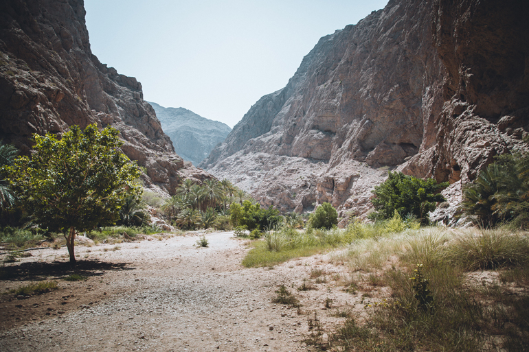 Roadtrip durch den Oman: Ein Tal mit Bergen und ein paar Bäumen.