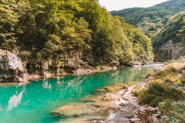 Reisetipps, Geheimtipps, Strand: Ein Fluss der an einem Wald entlang läuft.