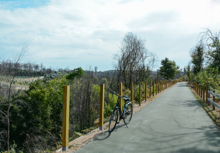 Ein Weg auf dem ein Fahrrad steht.