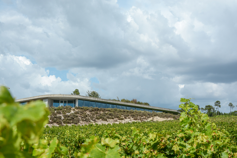 Ein modernes Haus das auf einem Feld steht.