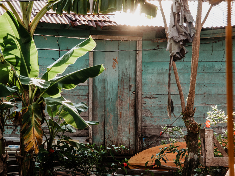 In einem kleinen Hinterhof im costa ricanischen Dorf Tortuguero wachsen Bananenbäume vor einer Holzhütte - Costa Rica lebt sanften Tourismus.