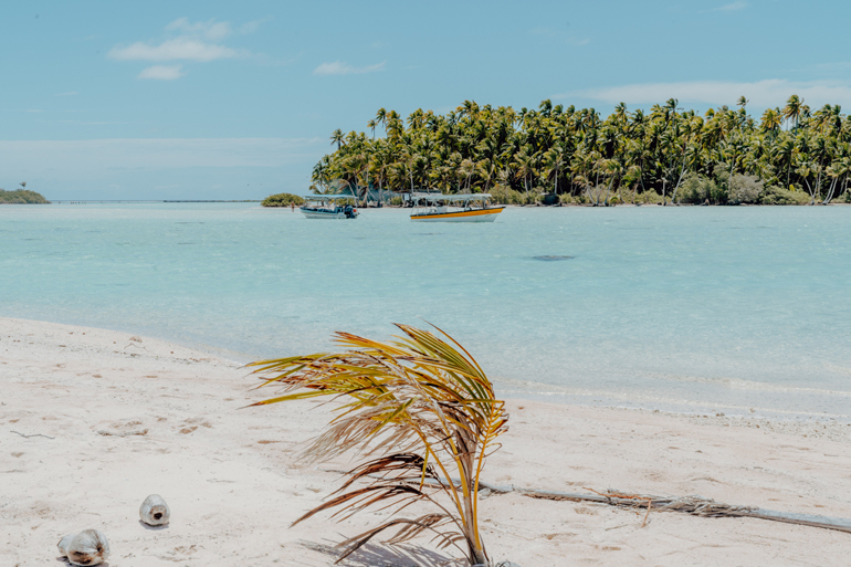 Rangiroa in Französisch-Polynesien ist ein unberührtes Paradies mit weißem Sandstrand und hellblau-glitzerndem Meer.