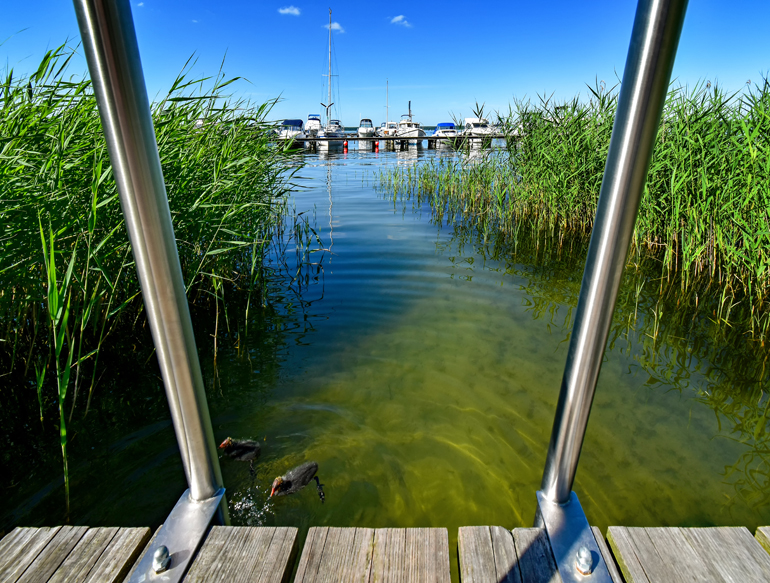 Am Steg führt lädt eine Leiter zum Schwimmen im Fleesensee an der malerischen Mecklenburgischen Seenplatte ein.