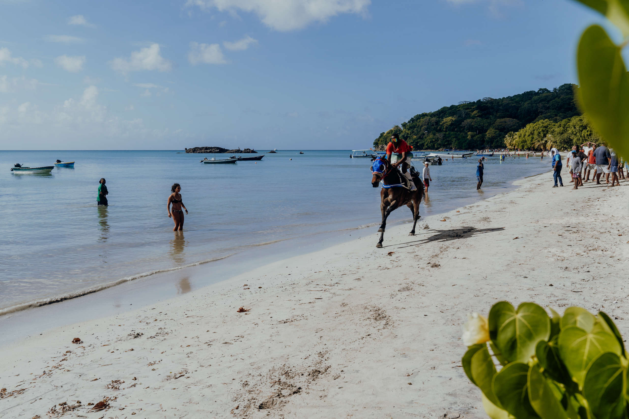 Saturday afternoons gather in the South West Bay for bareback horse racing. A horse running on the beach.