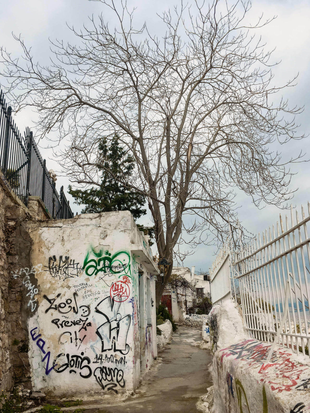 Kleine Gasse zwischen besprühten Mauern und Zäunen, ein Baum ohne Blätter.