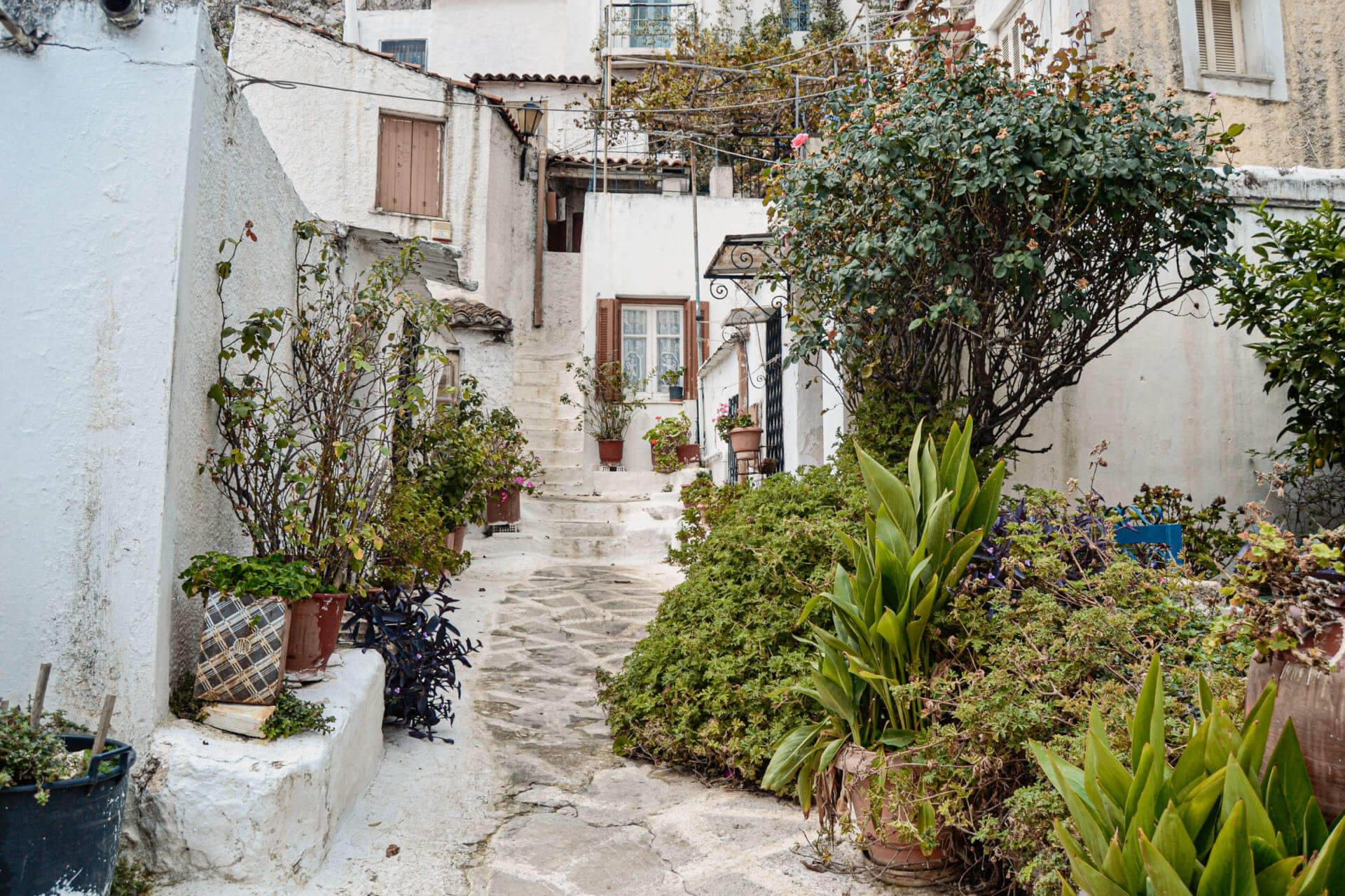 Enge, steile Gasse aus landestypischen, weiß gestrichenen Häusern mit grüner Bepflanzung in Athens Kykladendorf Anafiotika.