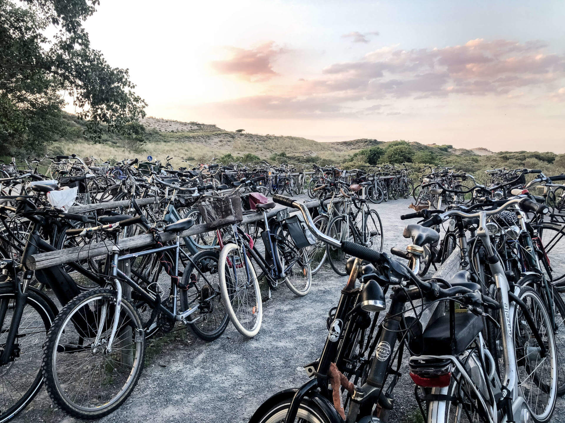 Ein holländischer Parkplatz für Fahrräder mit vielen Rädern, in der Ferne färbt der Sonnenuntergang den Himmel orange