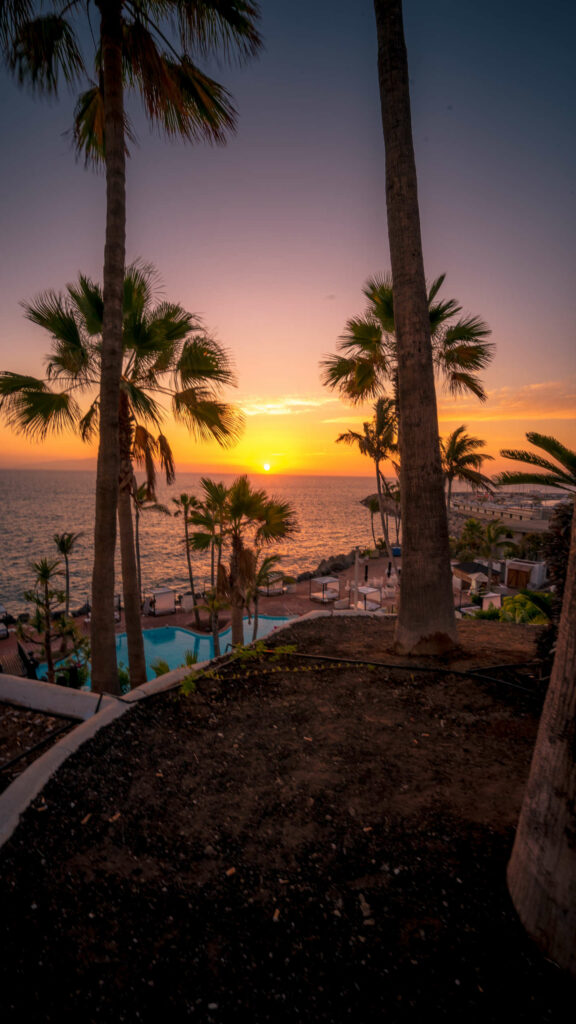 Hinter dem palmengesäumten Pool eines Hotels an der Costa Adeje auf Teneriffa sinkt die Sonne in den Atlantik.
