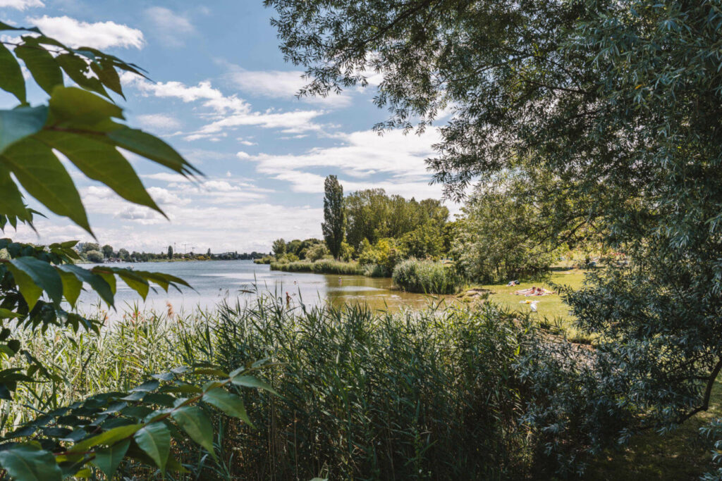 Blick durch Bäume und Schilf auf die Lagerwiese Romaplatz, ein idyllischer Badeplatz am Ufer der Alten Donau in Wien.