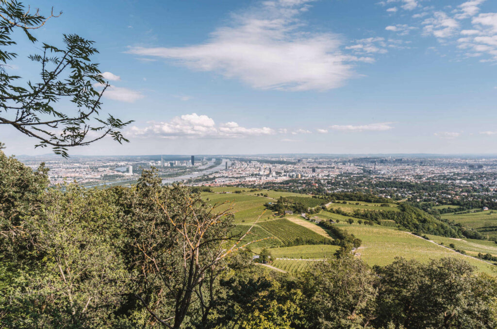 Wien von oben: Panoramablick vom Kahlenberg auf die österreichische Hauptstadt.