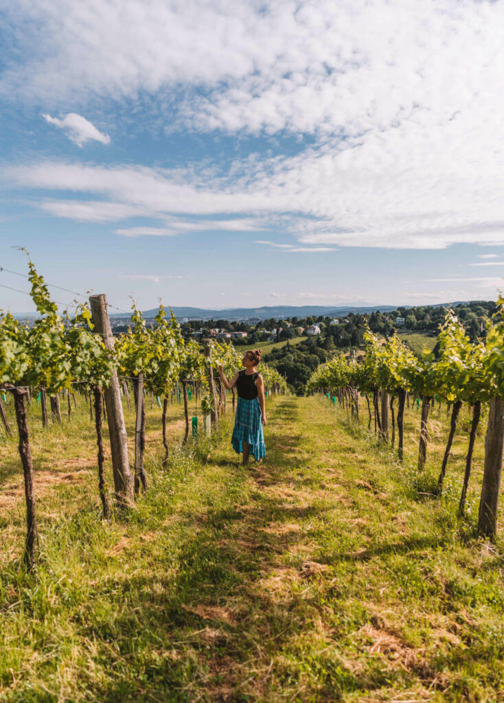 Reisebloggerin Melanie streift durch die Weinberge vor den Toren Wiens.