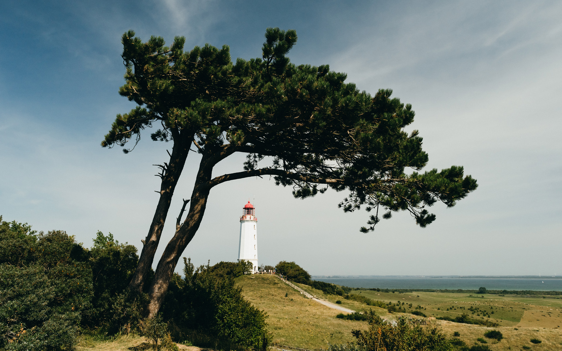 Leuchtturm auf Hiddensee