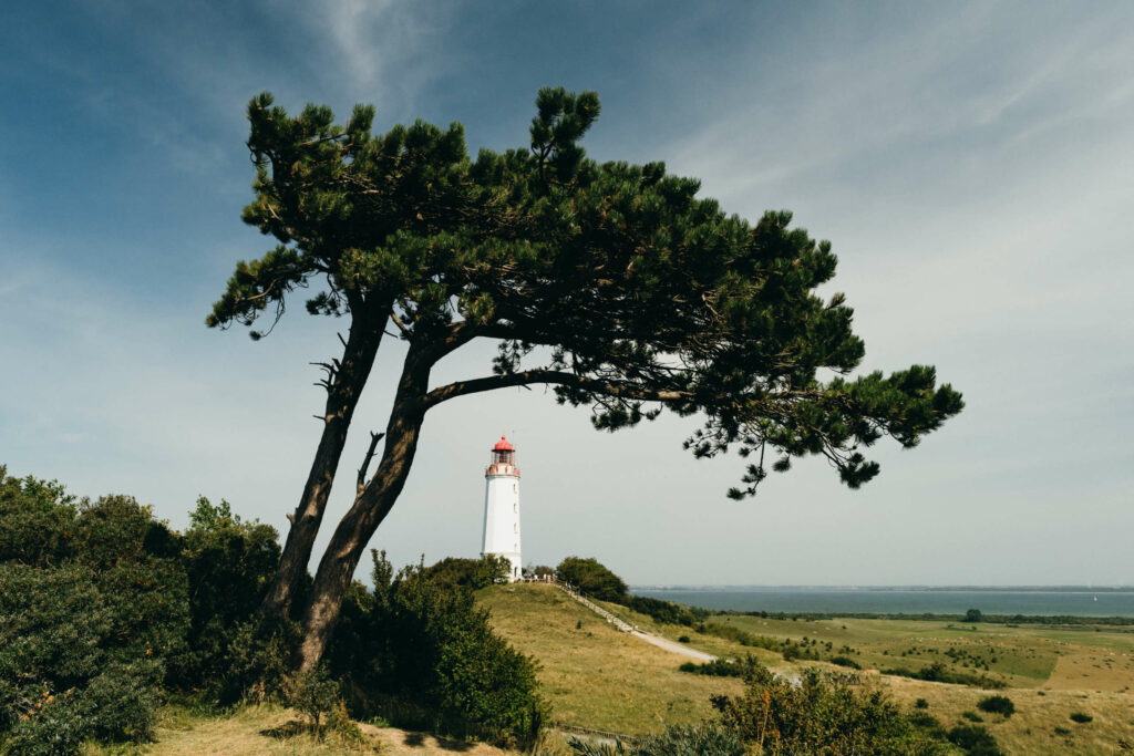 Auf der Ostseeinsel Hiddensee befindet sich außer einem Leuchtturm und viel Grün nicht viel.