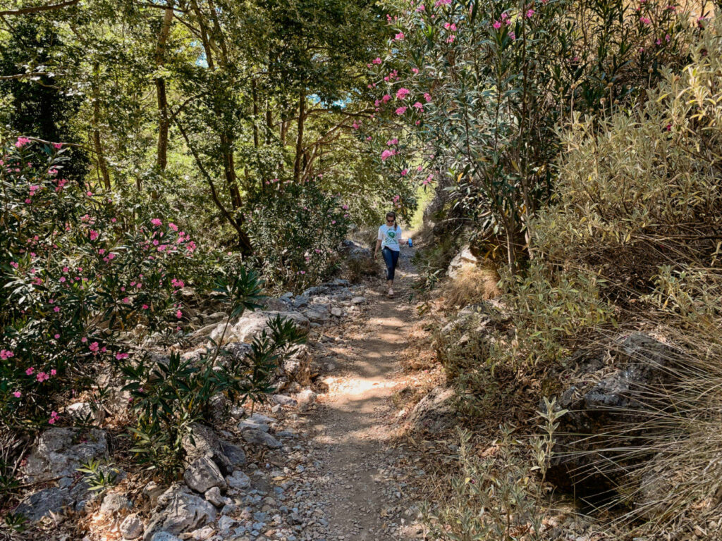 Eine Frau wandert durch die üppige Vegetation der sehenswerten Agia-Irini Schlucht auf Kreta, Bäume säumen den Wanderweg. Die Schlucht zählt zu den Geheimtipps auf Kreta