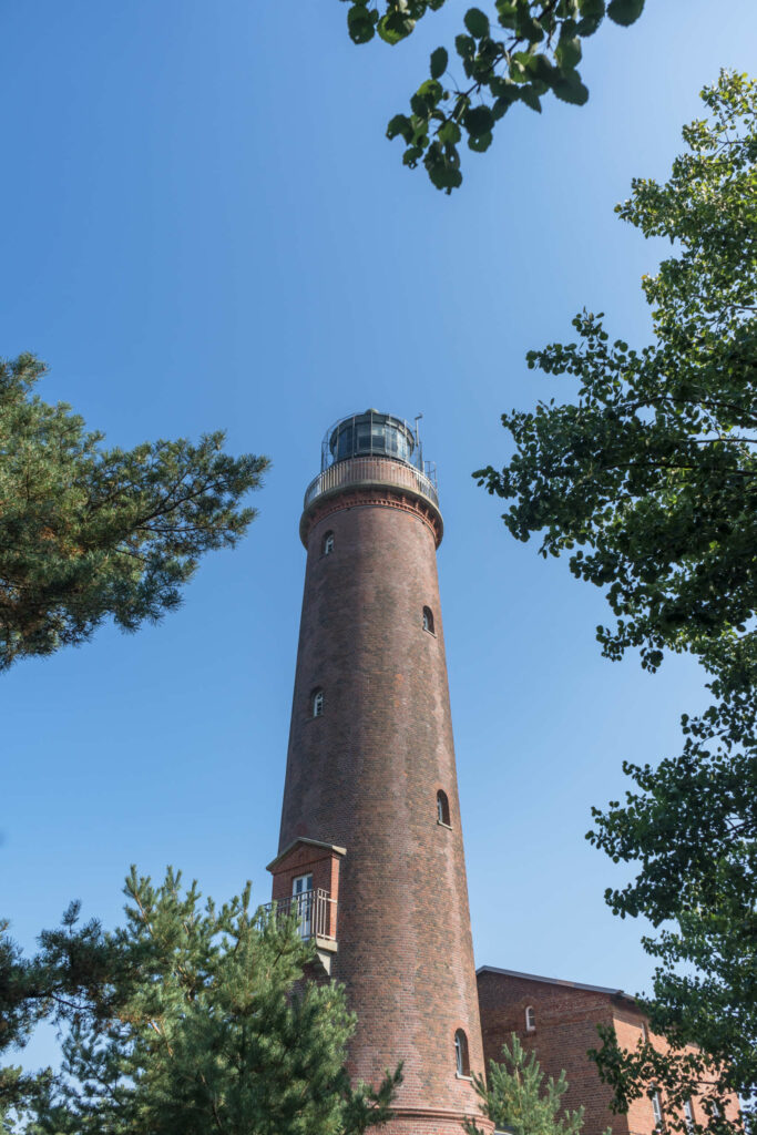 Aus der Froschperspektive erhebt sich der braune backsteine Leuchtturm Darßer Ort, um ihn rum liegen Bäume, der Himmel darüber ist strahlend blau.