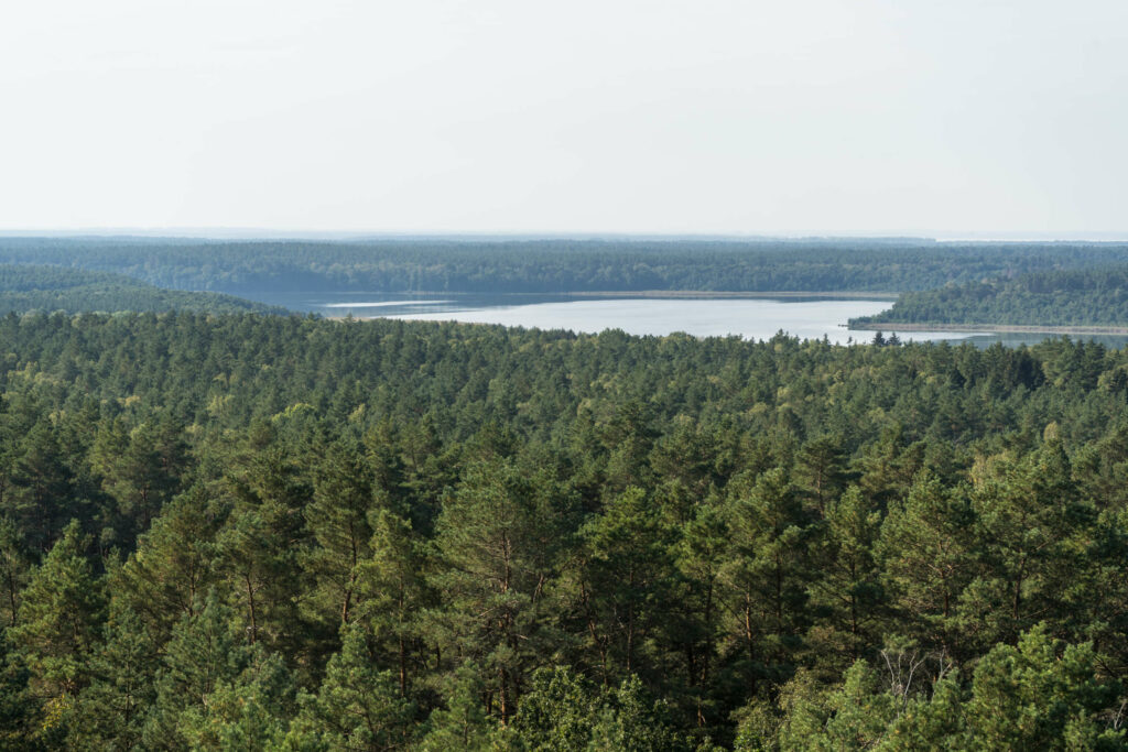Über Wälder und Seen blickt man hinweg auf den Nationalpark Mecklenburgische Seenplatte.