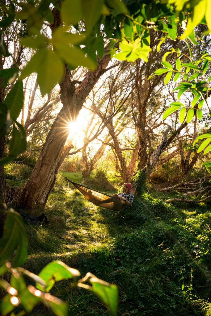 In der Hängematte aus ultraleichtem Gewebe liegt ein Mann zwischen zwei Bäumen und genießt die Sonnenstrahlen, die durch die Zweige hindurchscheinen - ein Traum für jeden Backpacker.