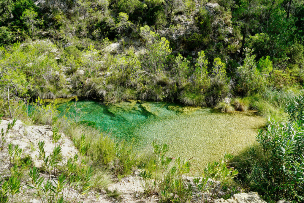 Ein grüner Naturpool am Río Cazuma in der Umgebung von Valencia - ein echter Geheimtipp zum Abkühlen nach dem Wandern.