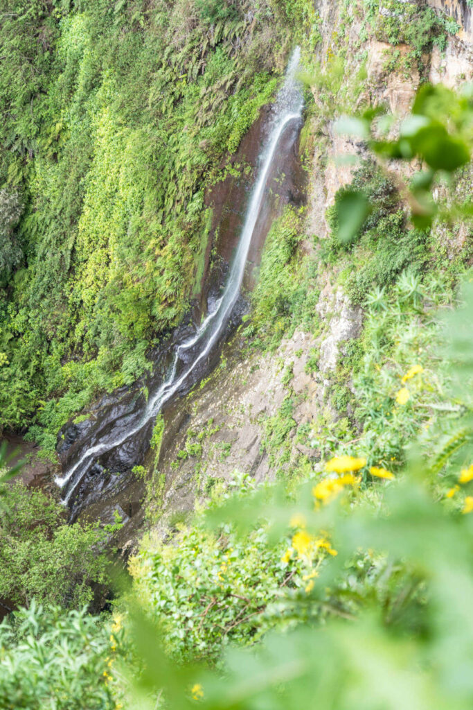 Der Wasserfall El Chorro auf La Gomera verschwindet zwischen grünen Büschen.