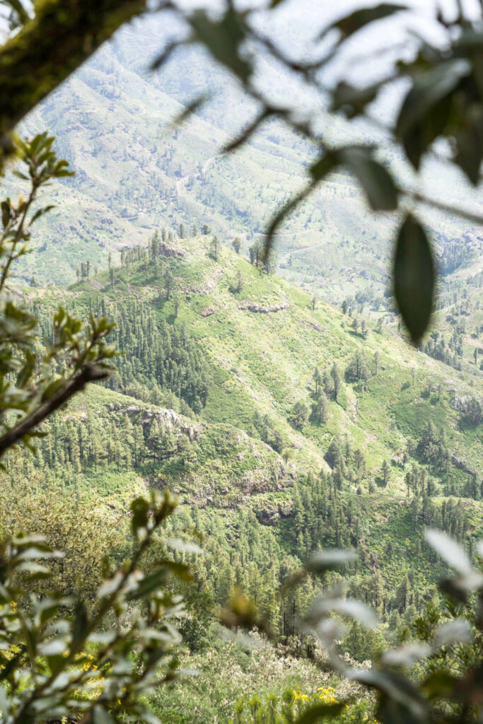 Auf der Wanderung Mirador Del Morro de Agando auf La Gomera genießt man den Blick auf einen Hügel im grünen Tal.