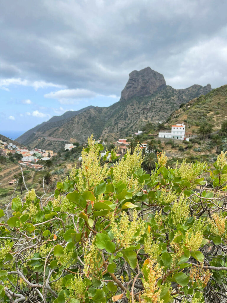 Beim Wandern auf La Gomera sollte man sich den Blick auf den Vallehermoso Roque Cano nicht entgehen lassen.