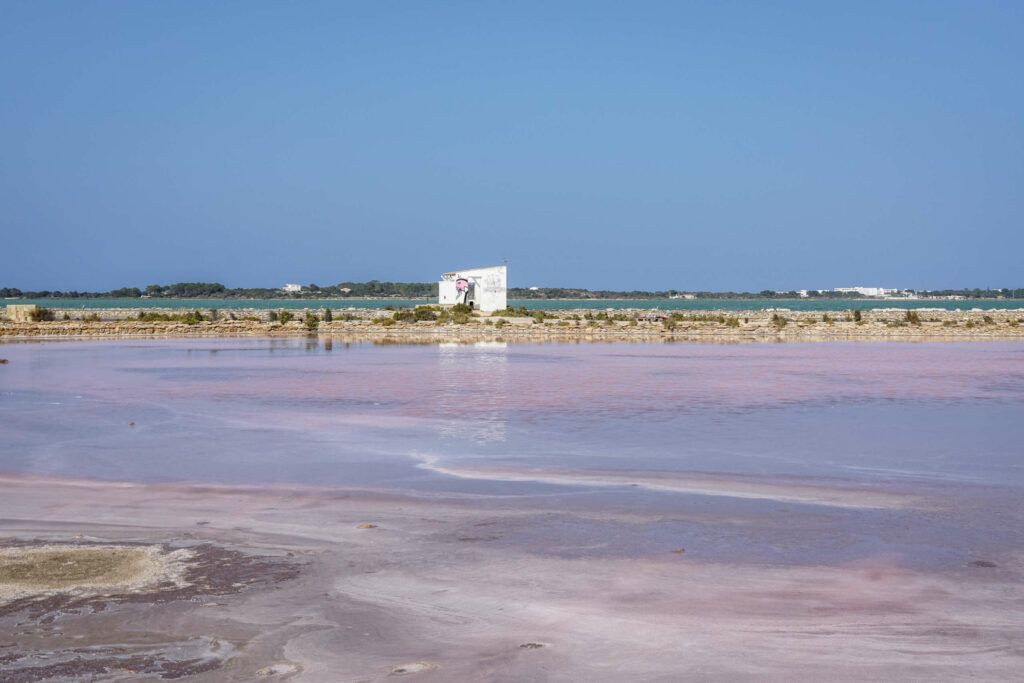 Ein echter Geheimtipp auf Formentera sind die Salinenfelder - das pinke Wasser ist ein Überbleibsel der Salzproduktion.