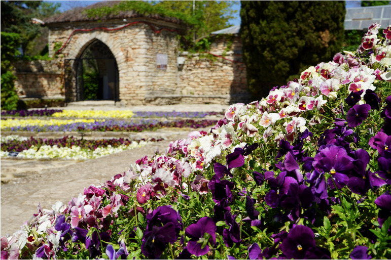 Ein Blumenbeet des Schlossparks Baltschik in Bulgarien im Vordergrund, im Hintergrund ein Tor und weitere Blumen.