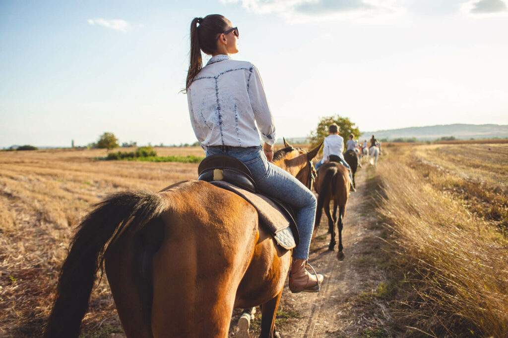 A group of people ride horses in a row along a dirt road in the sunshine