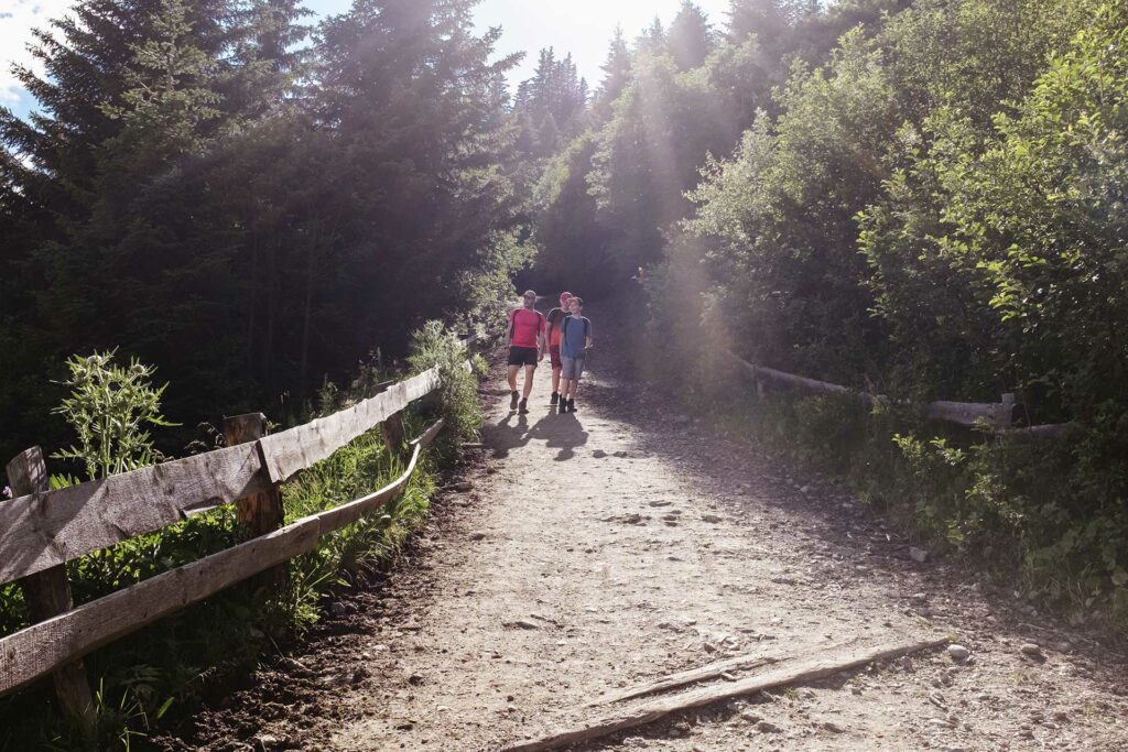 A family walks along a quiet path between the trees