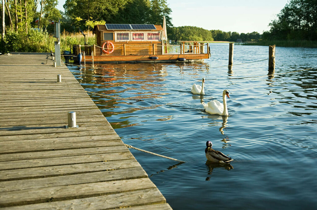 Ein idyllischer Sommer Nachmittag am Steg mit Boot im Hintergrund, auf dem See schwimmen einige Schwäne und Enten