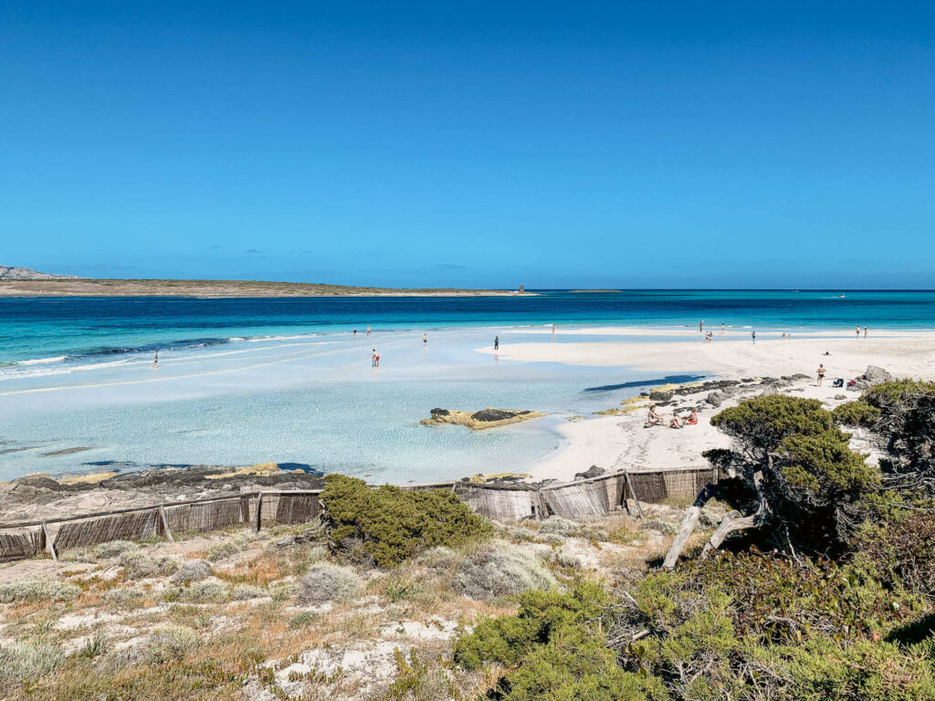 Von den Dünen kann man den Strand hinunter über das blau strahlende Meer der La Pelosa Lagune auf Sardinien blicken.