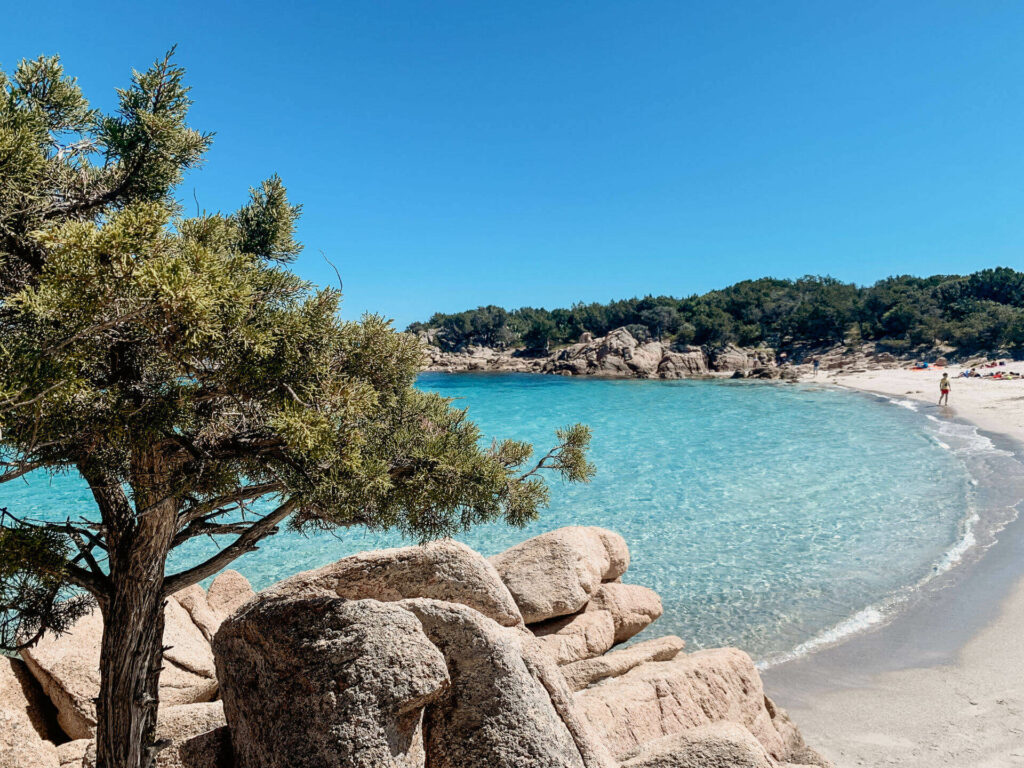 Bäume und weißer Sand umgeben das Meer der Cala Capriccioli im Norden von Sardinien.
