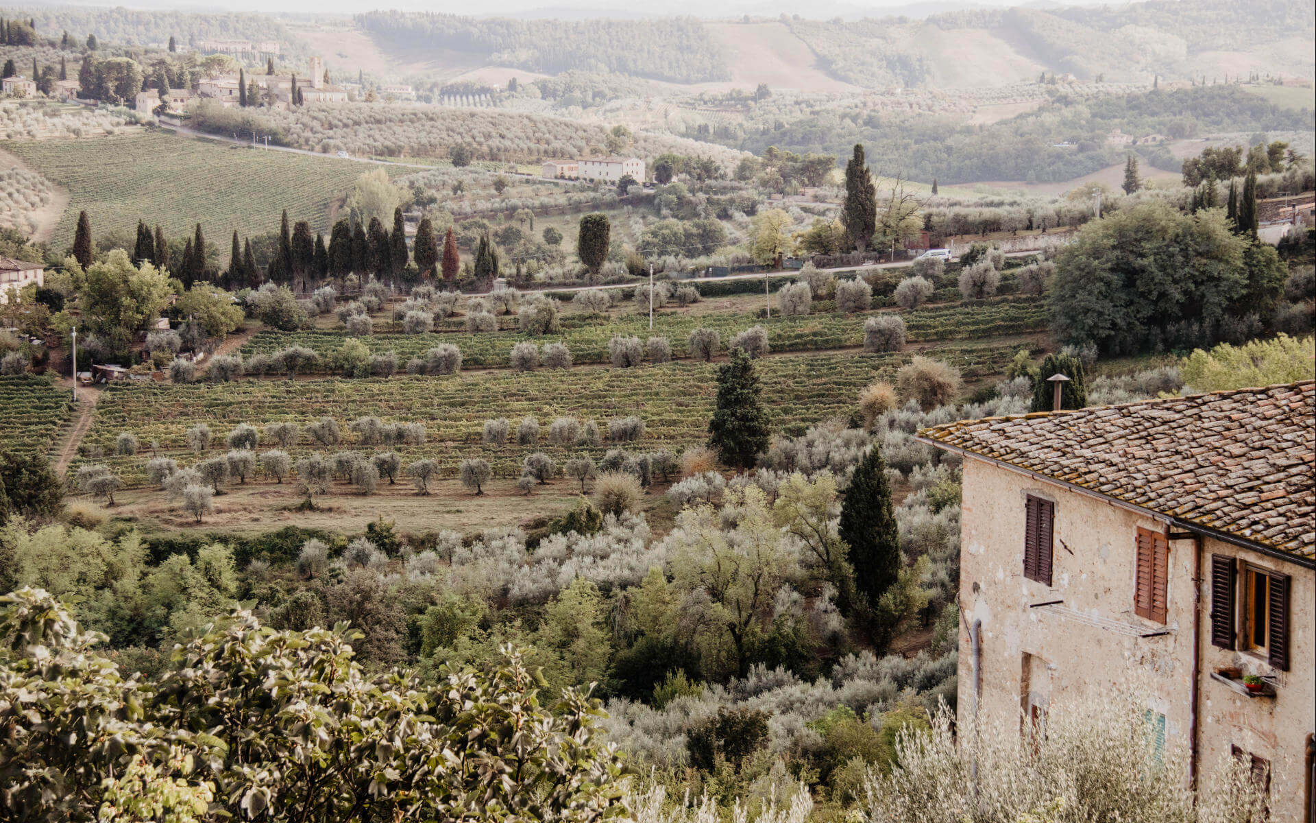 Olivenbäume und Zypressen, die sich an die Hügel schmiegen: so stellt man sich die typisch toskanische Landschaft vor.