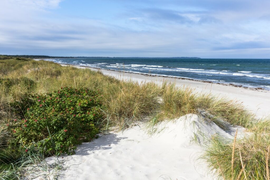 Ein sagenhaftes Naturwunder - der weiße Sand strahlt auf den Dünen an der Dänischen Riviera.