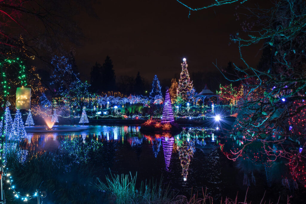 In Vancouver leuchten auf dem Weihnachtsmarkt die Bäume voller Lichterketten bei Dunkelheit.