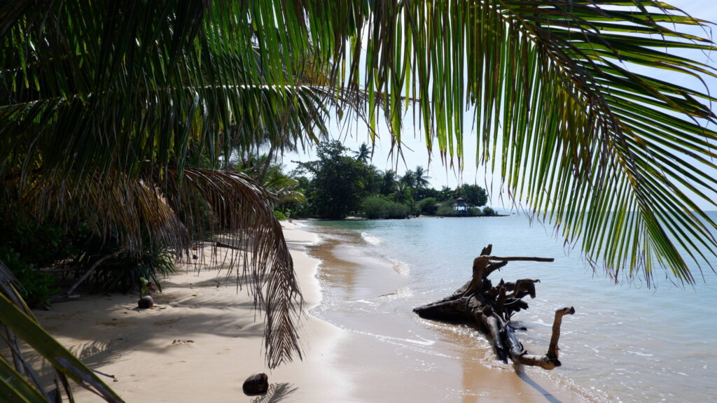 Der verlassene Sandstrand auf Koh Mak mit türkisfarbenem Meer und vielen Palmen.