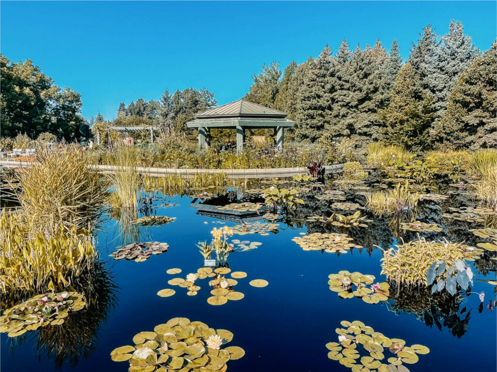 Eine Sehenswürdigkeit, die man in Denver nicht verpassen sollte: Der Botanische Garten mit wunderschönen Seen und Pavillons.