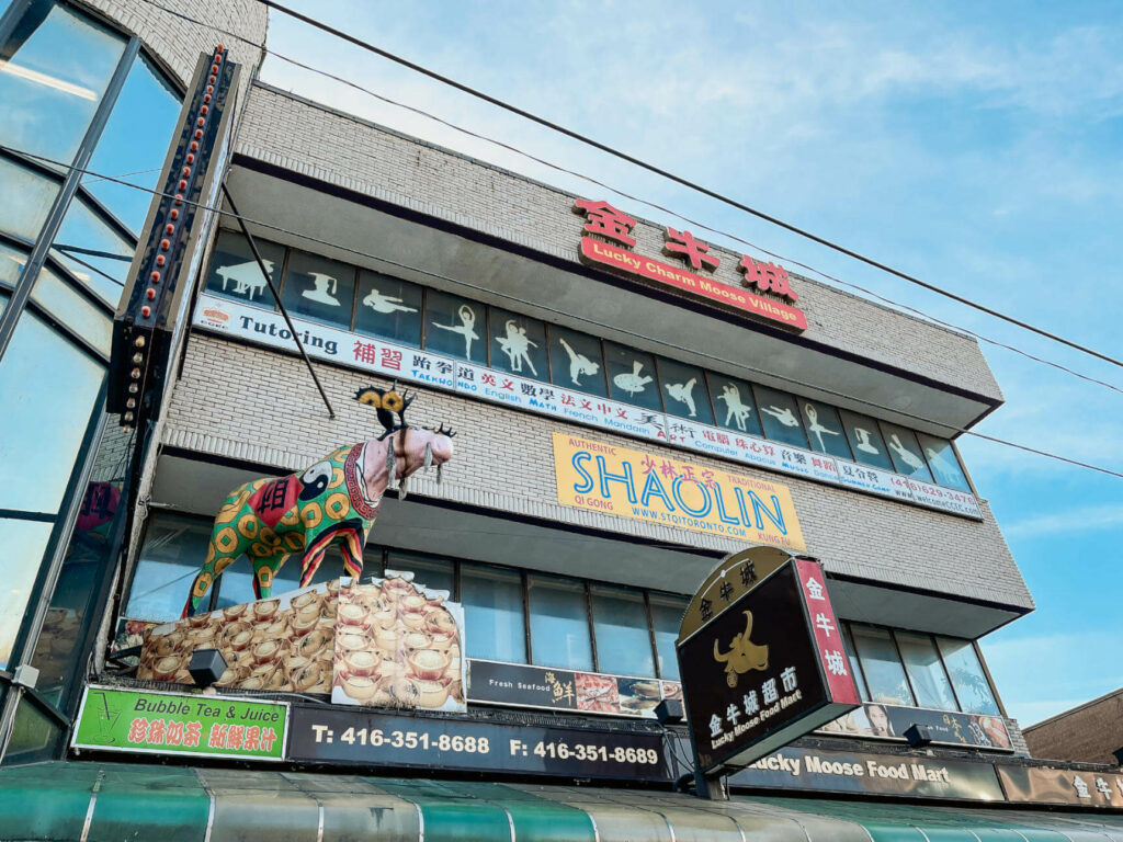Chinatown in Toronto ist ein besonderes Highlight mit vielfältigen Läden.
