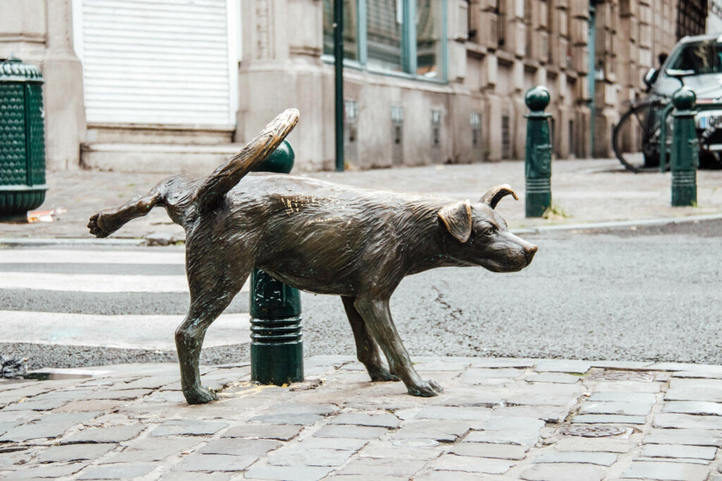 Pinkelnde Bronzefiguren wie den Zinneke Pis, ein pinkelnder Hund, findet man immer wieder im Zentrum von Brüssel.