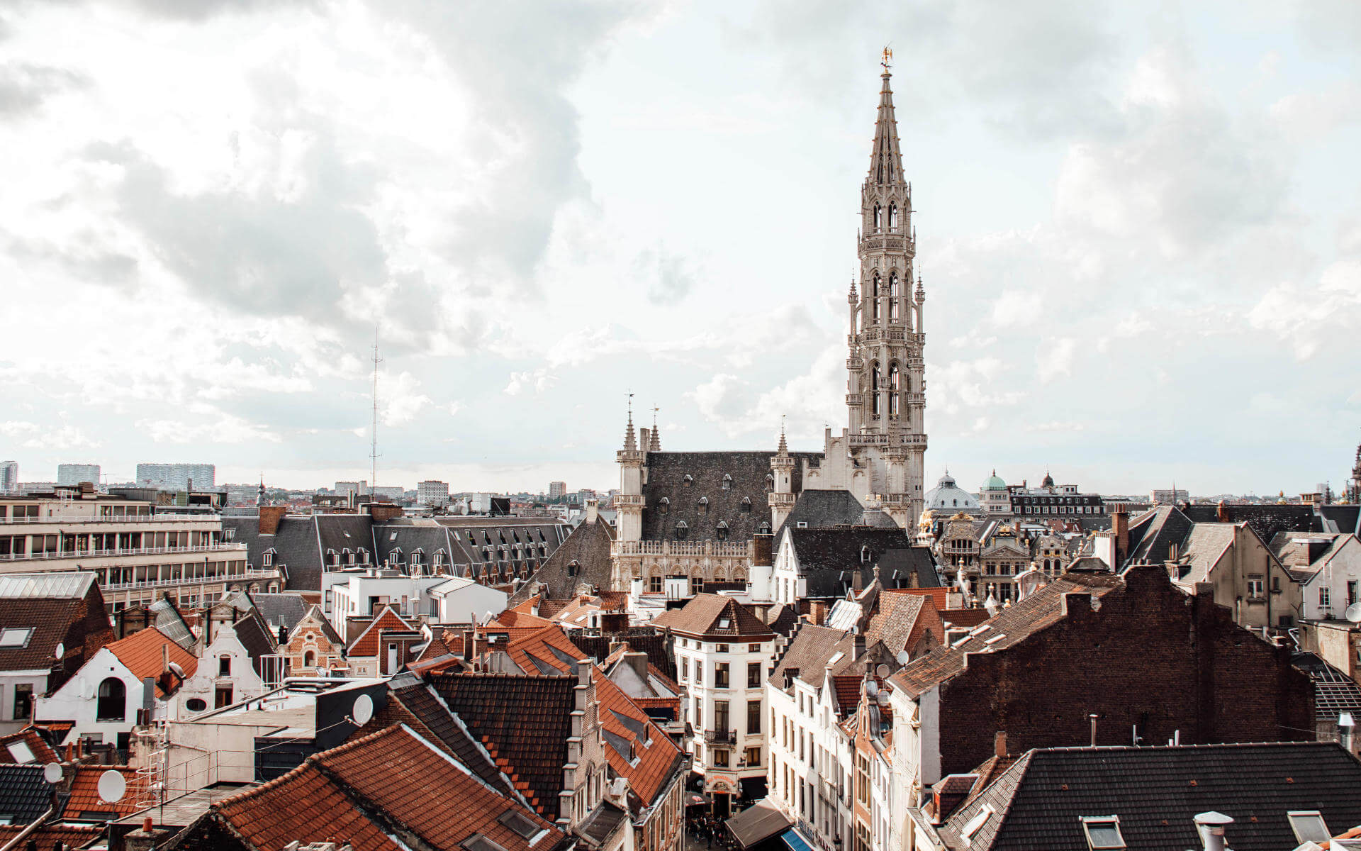 Die Aussicht über die Dächer von Brüssel ist wunderschön.