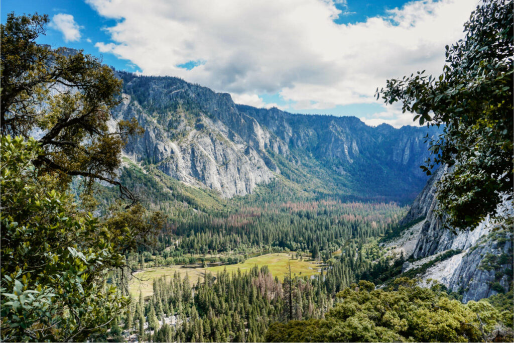 In the area around San Francisco, the Yosemite National Park with the beautiful nature worth seeing should not be missing.