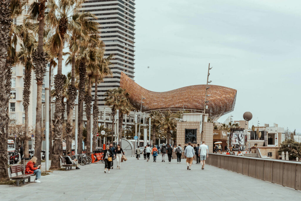 An der Strandpromenade in Barcelona reihen sich die Palmen.